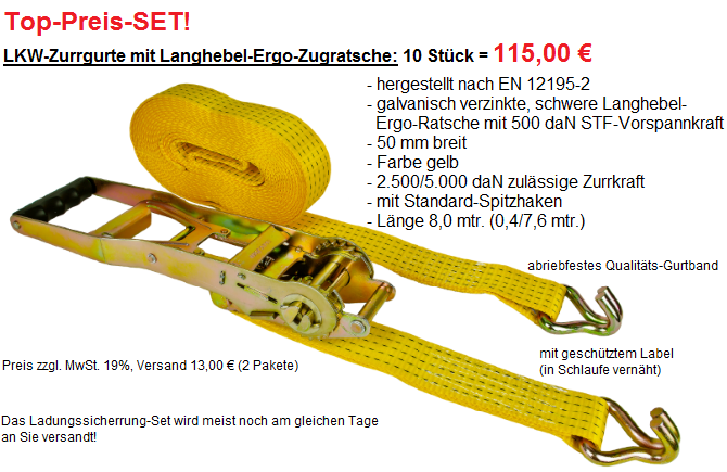 Zurrgurtetikett richtig lesen - Ratgeber