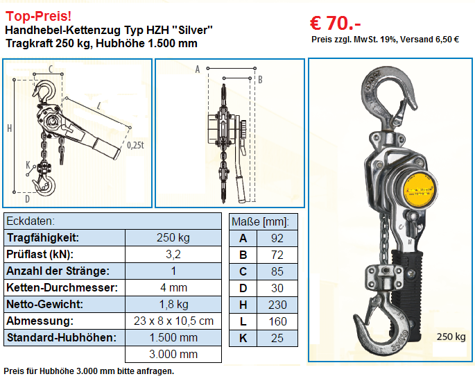 Kettenzug 250 kg