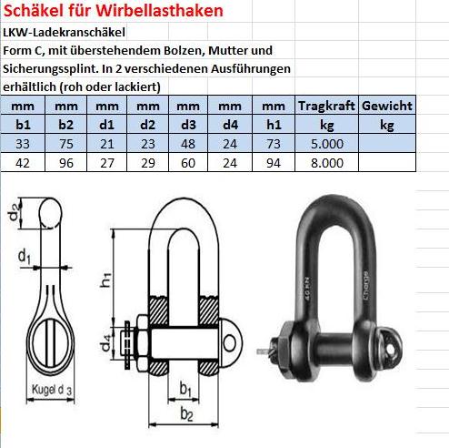 Wirbellasthaken Schäkel