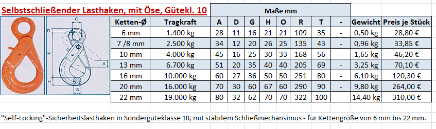 Sicherheitslasthaken